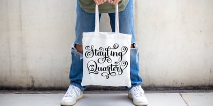 Stayling Quarters Font Poster 7