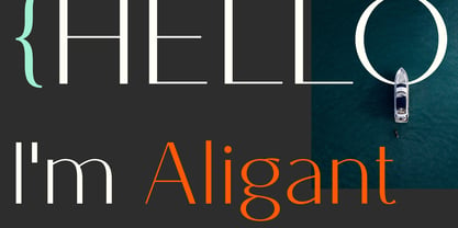Aligant Font Poster 1
