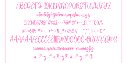 Hey Butterfly Font Poster 6