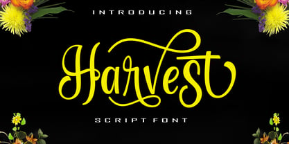 Harvest Script Font Poster 1