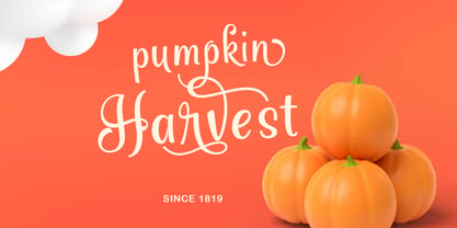 Harvest Script Font Poster 3