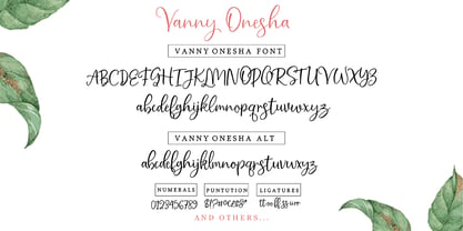 Vanny Onesha Font Poster 5