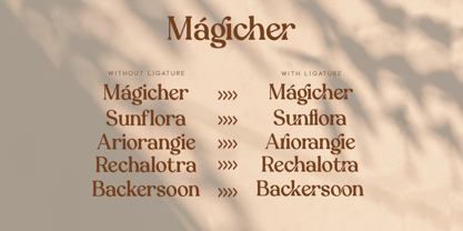 Magicher Font Poster 9