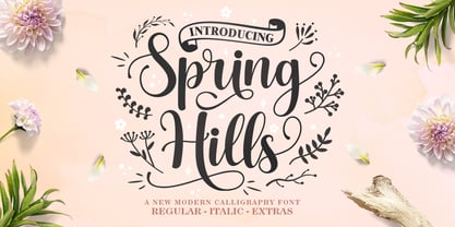 Spring Hills Script Fuente Póster 1