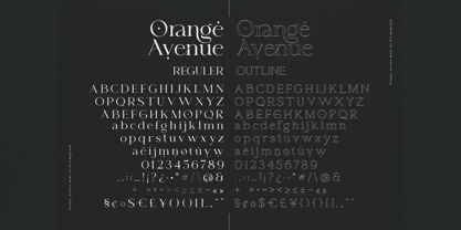 Orange Avenue Font Poster 8
