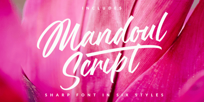 Mandoul Script Font Poster 1