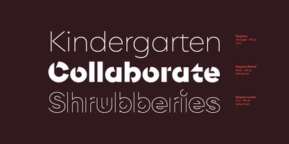 Singolare Font Poster 14