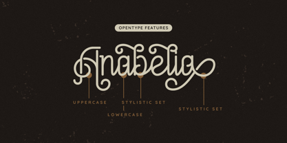 Anabelia Font Poster 8