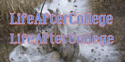 LifeAfterCollege Font Poster 1