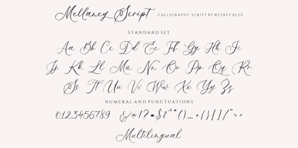 Mellaney Script Font Poster 11