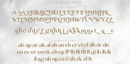 Malegis Serif Fuente Póster 12