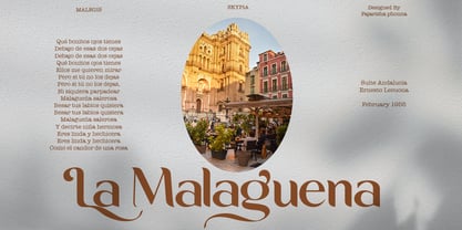 Malegis Serif Font Poster 8