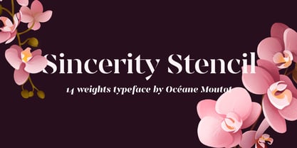 Sincerity Stencil Font Poster 1
