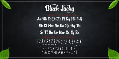 Black Jacky Fuente Póster 10