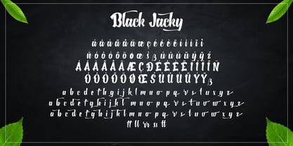 Black Jacky Font Poster 11
