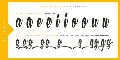 XXII YeahScript Font Poster 8