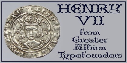 Henry VII Fuente Póster 2