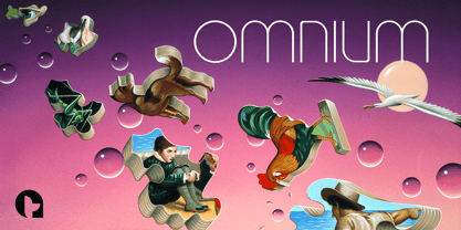 Omni Fuente Póster 9