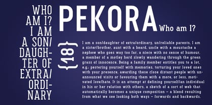 Pekora Font Poster 3