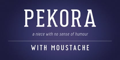 Pekora Font Poster 1