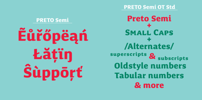 Preto Semi OT Std Font Poster 4