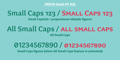 Preto Semi OT Std Font Poster 7