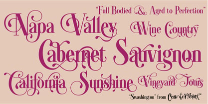 Swashington Font Poster 6