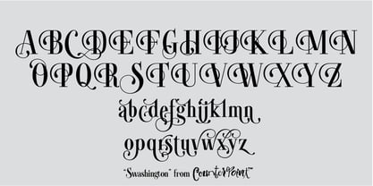 Swashington Font Poster 4