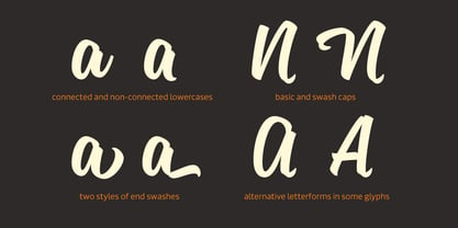 Sanelma Font Poster 9