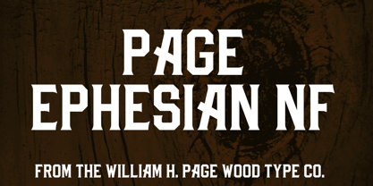 Page Ephesian NF Font Poster 1