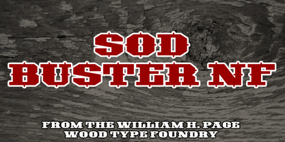 Sodbuster NF Font Poster 1
