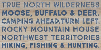 True North Font Poster 10