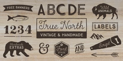 True North Font Poster 2