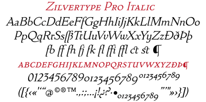 Zilvertype Pro Font Poster 9