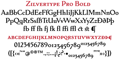 Zilvertype Pro Font Poster 8