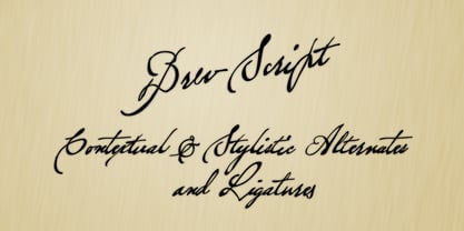 Brev Script Font Poster 2