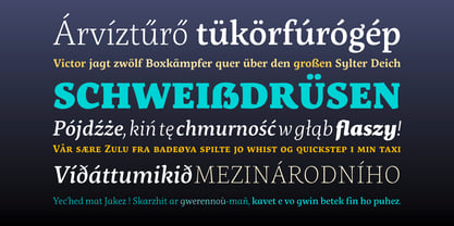 Servus Slab Font Poster 2