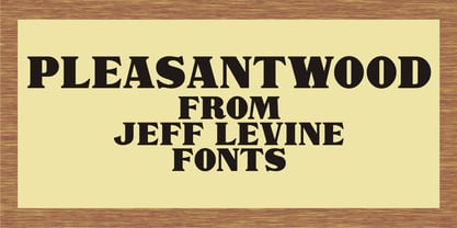 Pleasantwood JNL Font Poster 1
