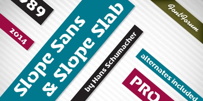 Slope Slab Pro Font Poster 4