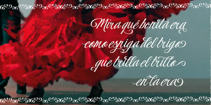 Flamenca Font Poster 2
