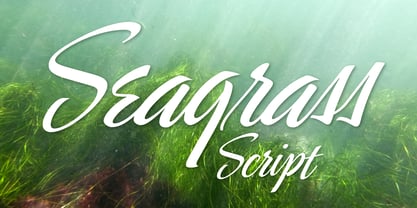 Seagrass BF Font Poster 1