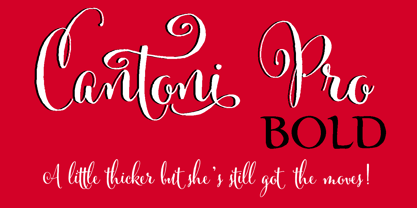 Cantoni Font Poster 1