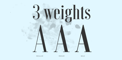 Voga Font Poster 4