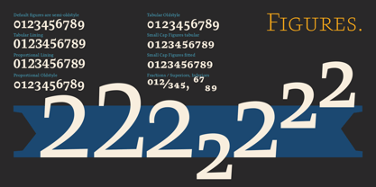 Pepone Font Poster 5