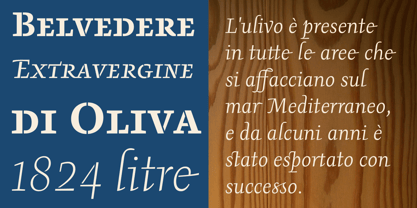 Pepone Font Poster 8