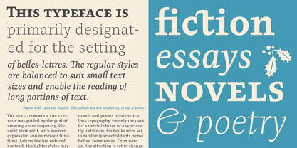 Pepone Font Poster 15