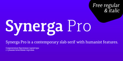 Synerga Pro Font Poster 2