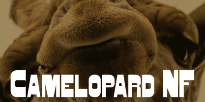Camelopard NF Font Poster 1