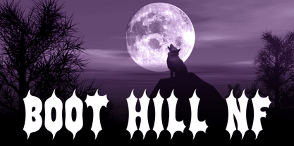 Boot Hill NF Font Poster 1