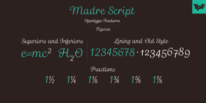 Madre Script Font Poster 7